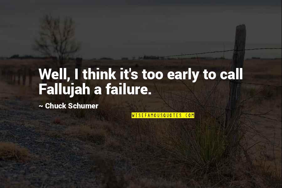 Fallujah Quotes By Chuck Schumer: Well, I think it's too early to call