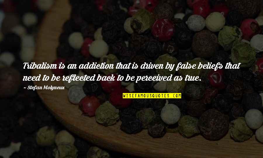 False Beliefs Quotes By Stefan Molyneux: Tribalism is an addiction that is driven by