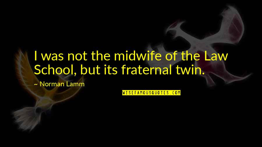 False Ideals Quotes By Norman Lamm: I was not the midwife of the Law