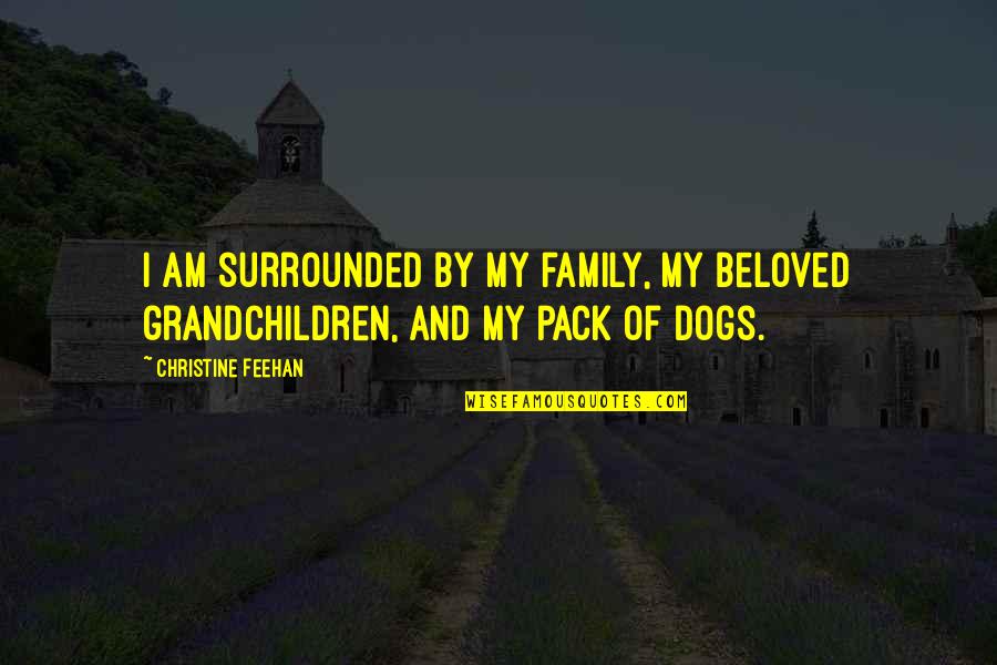 False Praising Quotes By Christine Feehan: I am surrounded by my family, my beloved