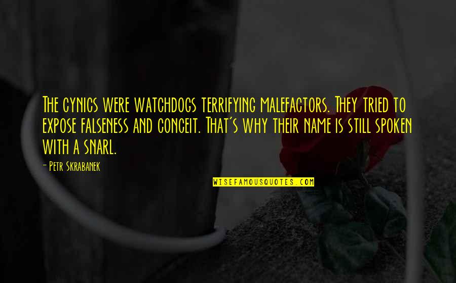 Falseness Quotes By Petr Skrabanek: The cynics were watchdogs terrifying malefactors. They tried