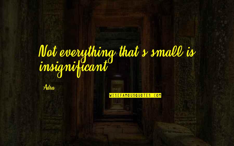 Falsist Quotes By Adra: Not everything that's small is insignificant.
