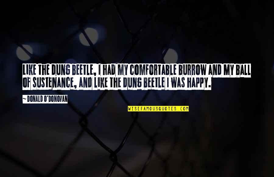 Faltan Cinco Quotes By Donald O'Donovan: Like the dung beetle, I had my comfortable Faltan Cinco Quotes By Donald O'Donovan: Like the dung beetle, I had my comfortable