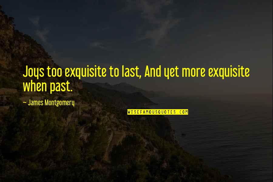 Faltara Spanish Quotes By James Montgomery: Joys too exquisite to last, And yet more