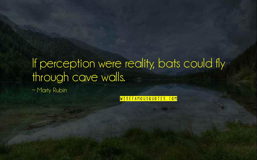 Falun Quotes By Marty Rubin: If perception were reality, bats could fly through