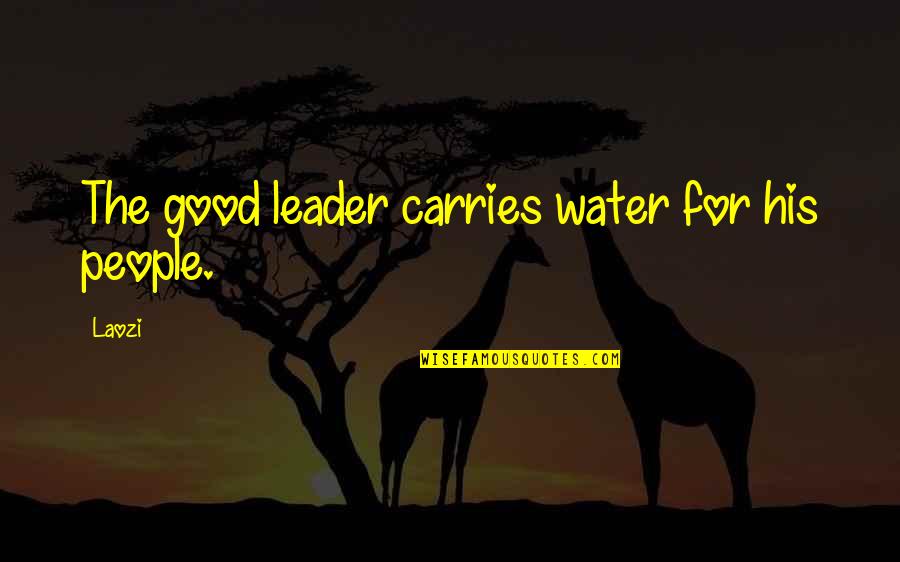 Falyn Quotes By Laozi: The good leader carries water for his people.