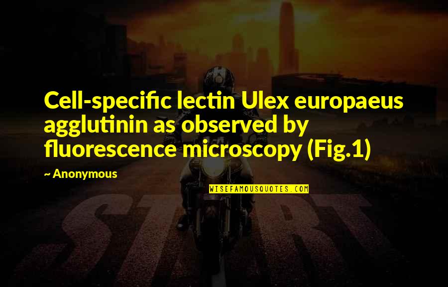 Fame And Privacy Quotes By Anonymous: Cell-specific lectin Ulex europaeus agglutinin as observed by