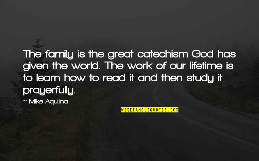 Family And Faith Quotes By Mike Aquilina: The family is the great catechism God has