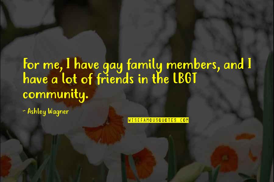 Family And Friends Quotes By Ashley Wagner: For me, I have gay family members, and