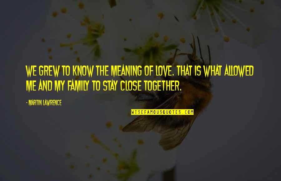 Family And Its Meaning Quotes By Martin Lawrence: We grew to know the meaning of love.