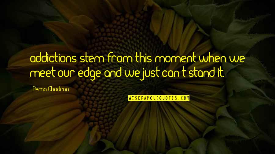 Family And Life Being Too Short Quotes By Pema Chodron: addictions stem from this moment when we meet
