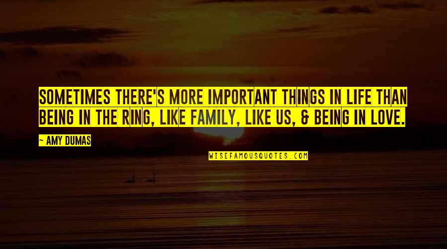 Family Being Most Important Quotes By Amy Dumas: Sometimes there's more important things in life than