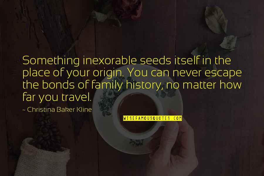 Family Bonds Quotes By Christina Baker Kline: Something inexorable seeds itself in the place of