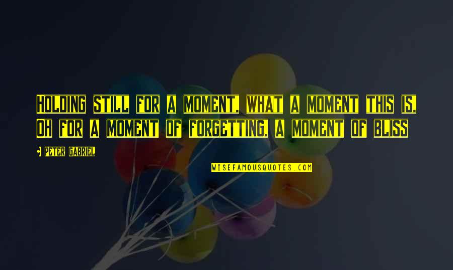 Family Centered Care Quotes By Peter Gabriel: Holding still for a moment, what a moment