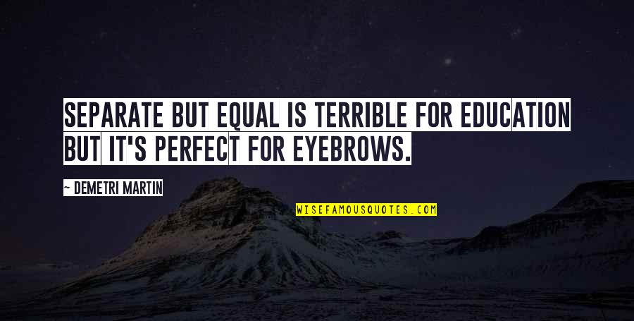 Family Emigrating Quotes By Demetri Martin: Separate but equal is terrible for education but