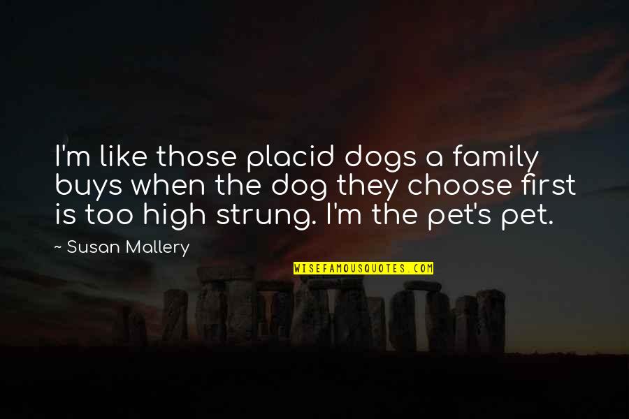 Family First Quotes By Susan Mallery: I'm like those placid dogs a family buys Family First Quotes By Susan Mallery: I'm like those placid dogs a family buys