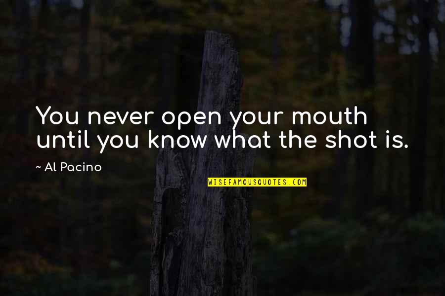 Family Guy Bert And Ernie Quotes By Al Pacino: You never open your mouth until you know
