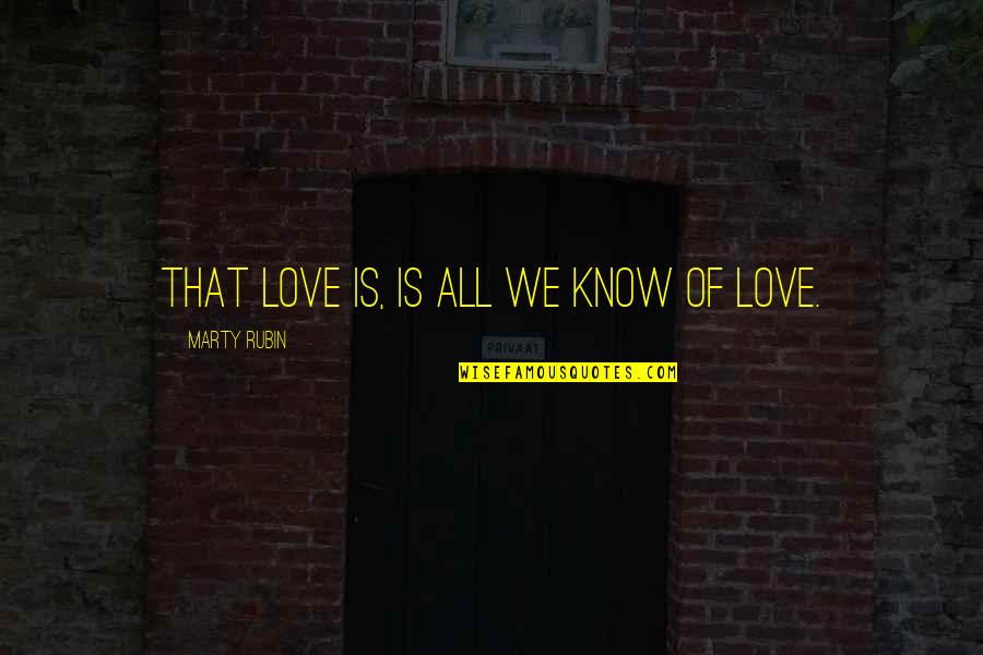 Family Guy One Word Quotes By Marty Rubin: That love is, is all we know of