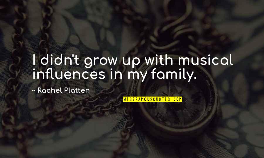 Family Influences Quotes By Rachel Platten: I didn't grow up with musical influences in