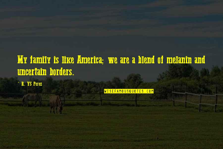 Family Is Like Quotes By R. YS Perez: My family is like America; we are a