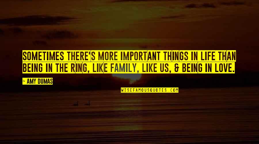 Family Is More Important Than Love Quotes By Amy Dumas: Sometimes there's more important things in life than