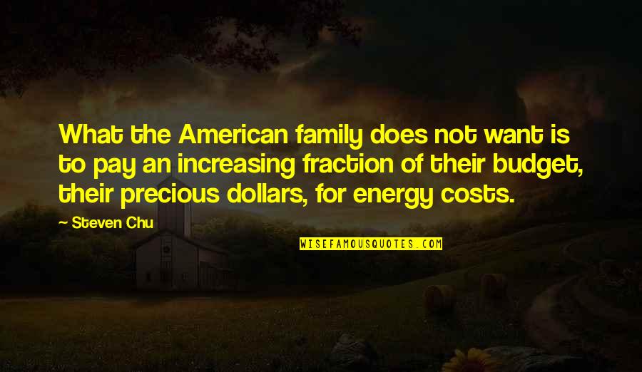 Family Is Precious Quotes By Steven Chu: What the American family does not want is