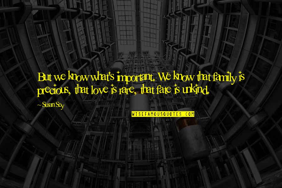 Family Is So Precious Quotes By Susan Sey: But we know what's important. We know that Family Is So Precious Quotes By Susan Sey: But we know what's important. We know that