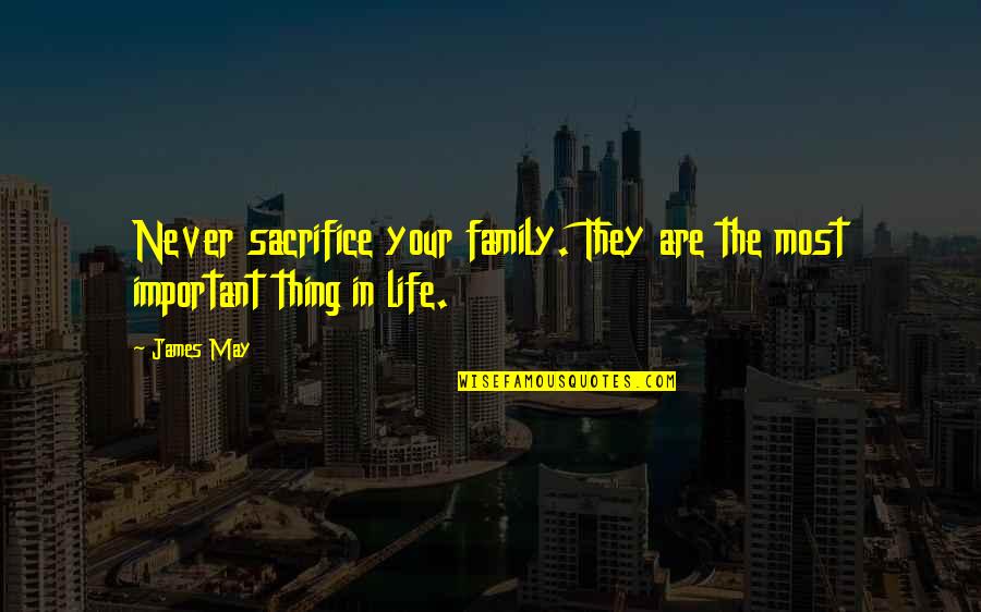 Family Is Very Important Quotes By James May: Never sacrifice your family. They are the most