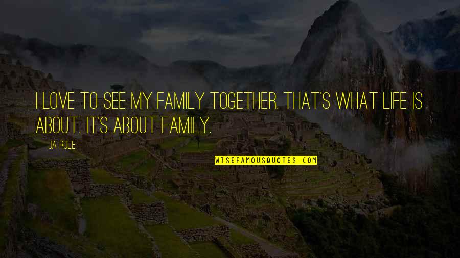 Family Is What It's All About Quotes By Ja Rule: I love to see my family together. That's