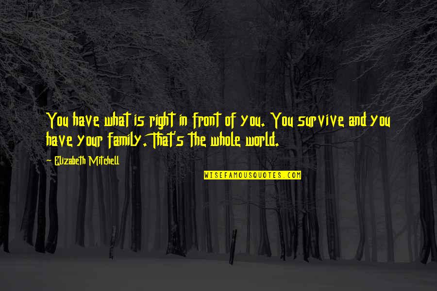 Family Is World Quotes By Elizabeth Mitchell: You have what is right in front of