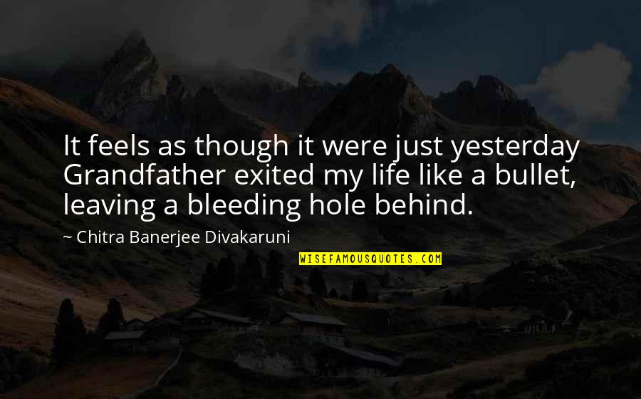 Family Leaving Your Life Quotes By Chitra Banerjee Divakaruni: It feels as though it were just yesterday