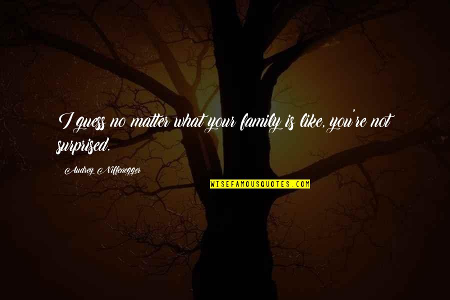 Family Matter Quotes By Audrey Niffenegger: I guess no matter what your family is