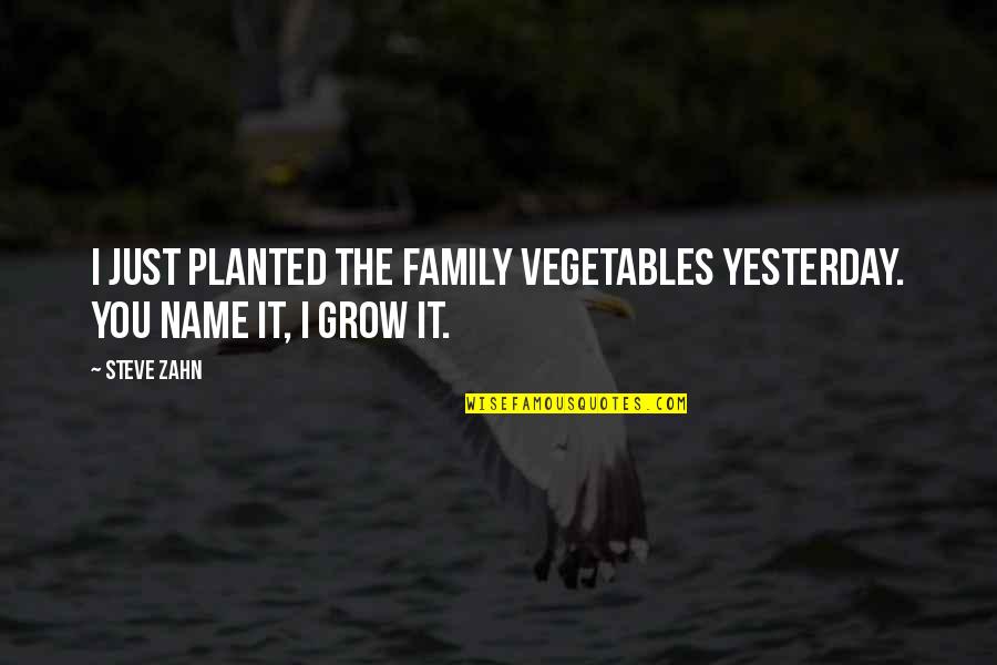 Family Name Quotes By Steve Zahn: I just planted the family vegetables yesterday. You