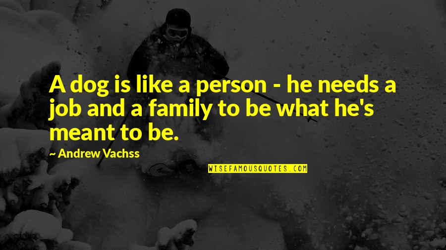 Family Needs Quotes By Andrew Vachss: A dog is like a person - he