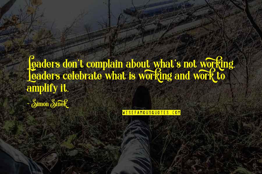 Family Owned Quotes By Simon Sinek: Leaders don't complain about what's not working. Leaders