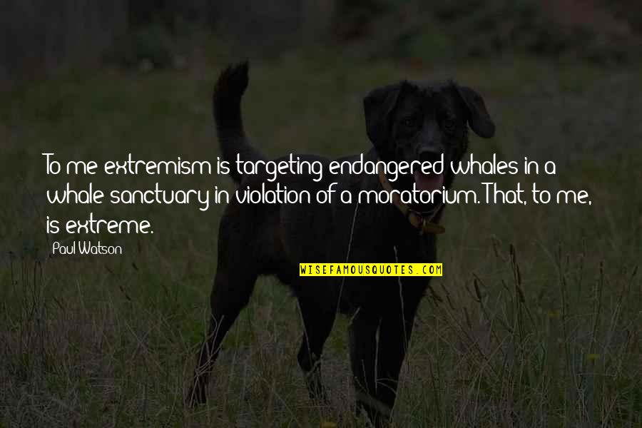 Family Recipe Book Quotes By Paul Watson: To me extremism is targeting endangered whales in Family Recipe Book Quotes By Paul Watson: To me extremism is targeting endangered whales in