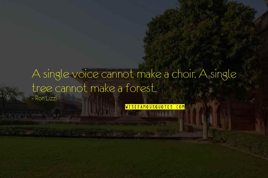 Family Relationships Quotes By Ron Lizzi: A single voice cannot make a choir. A