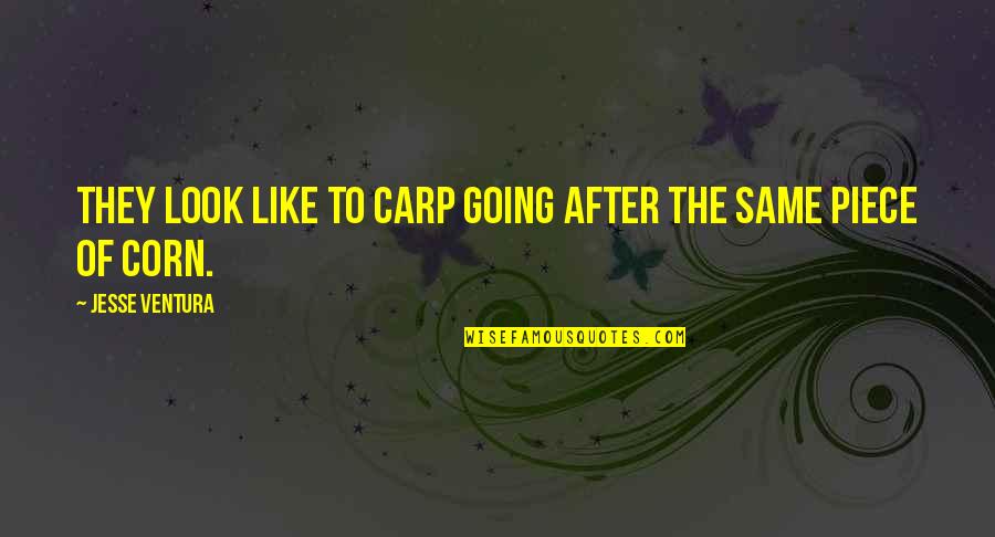 Family Sarcastic Quotes By Jesse Ventura: They look like to carp going after the