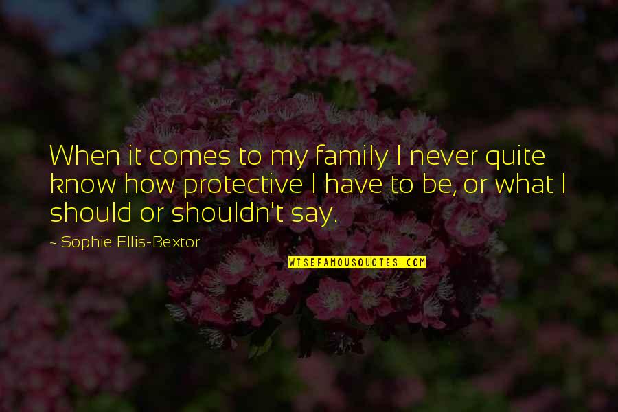 Family Should Be Quotes By Sophie Ellis-Bextor: When it comes to my family I never