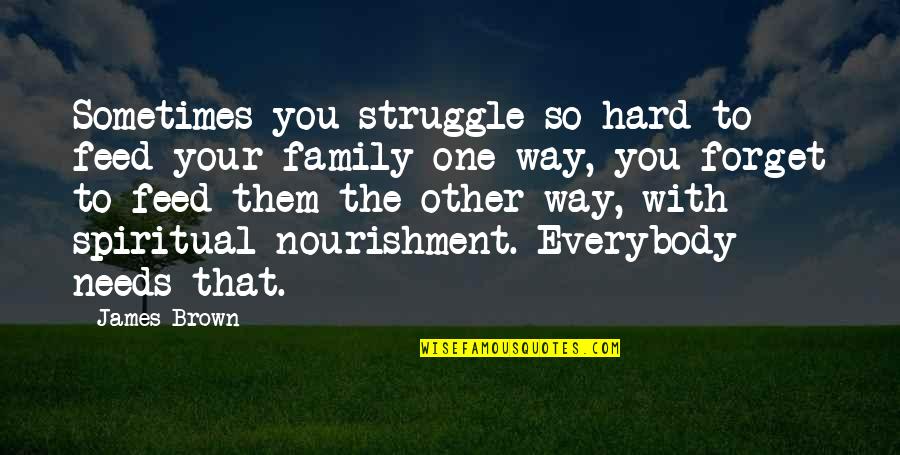 Family Spiritual Quotes By James Brown: Sometimes you struggle so hard to feed your