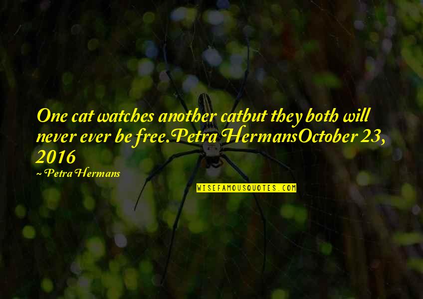 Family Sticking Together No Matter What Quotes By Petra Hermans: One cat watches another catbut they both will