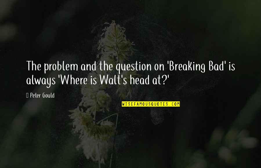 Family The Originals Quotes By Peter Gould: The problem and the question on 'Breaking Bad'