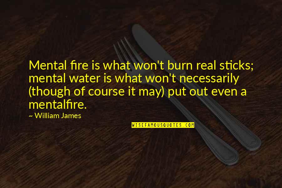 Family Who Betrayed You Quotes By William James: Mental fire is what won't burn real sticks;