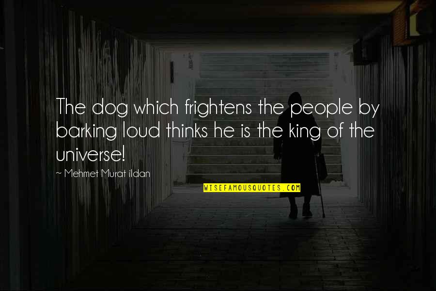 Family Who Have Hurt You Quotes By Mehmet Murat Ildan: The dog which frightens the people by barking