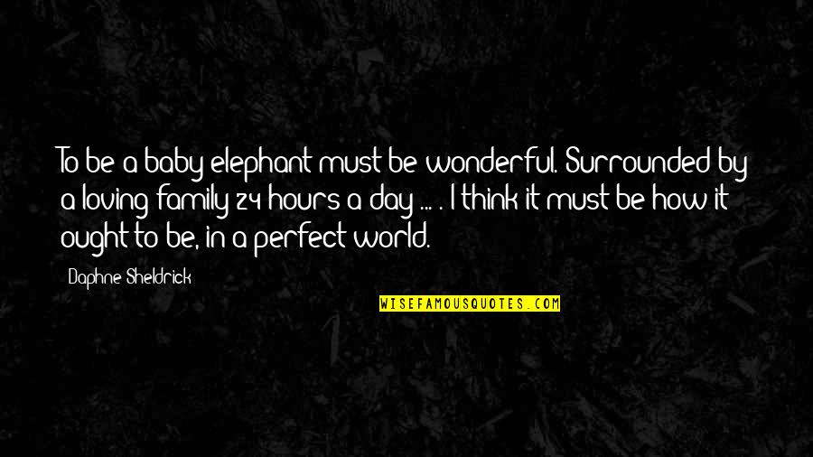 Family With Baby Quotes By Daphne Sheldrick: To be a baby elephant must be wonderful.