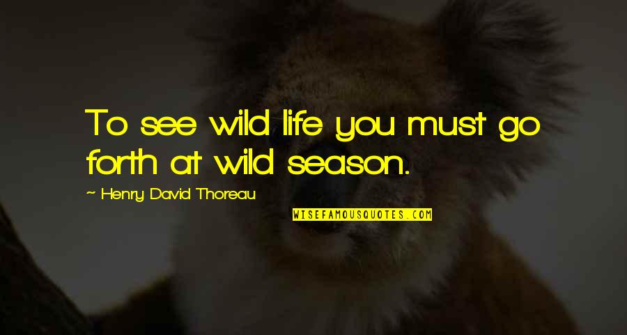 Famous 70's Tv Quotes By Henry David Thoreau: To see wild life you must go forth