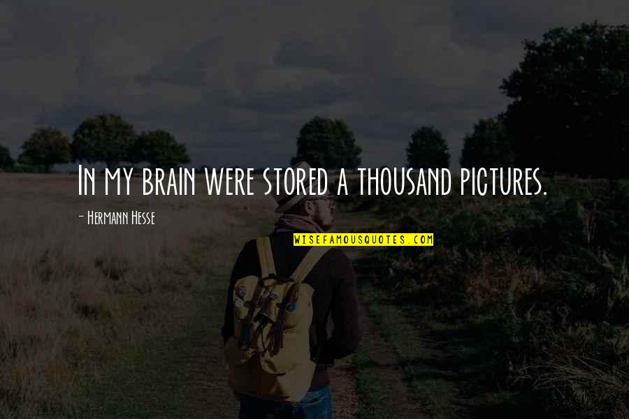 Famous Agile Quotes By Hermann Hesse: In my brain were stored a thousand pictures.