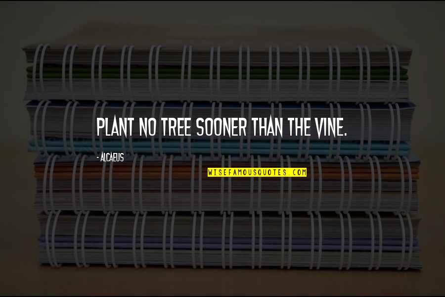 Famous Alan Sugar Apprentice Quotes By Alcaeus: Plant no tree sooner than the vine.