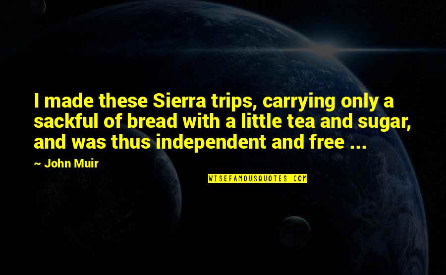 Famous American Business Quotes By John Muir: I made these Sierra trips, carrying only a