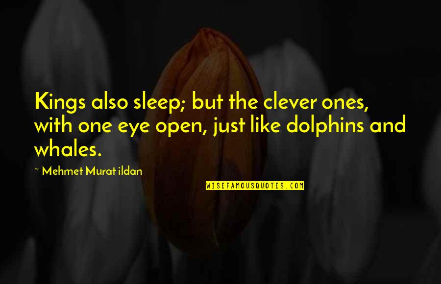 Famous Ancient Greek Mythology Quotes By Mehmet Murat Ildan: Kings also sleep; but the clever ones, with